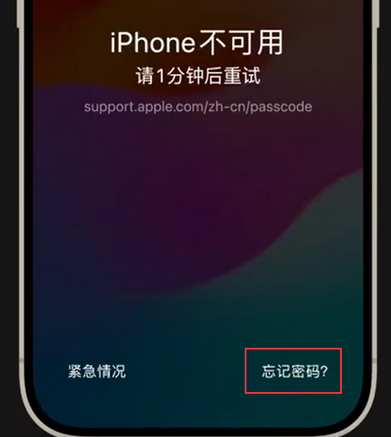 白马井镇苹果手机密码维修分享iPhone忘记了刚设置的密码 
