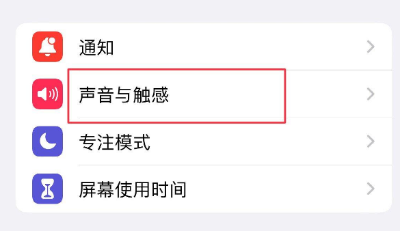 白马井镇苹果售后维修分享iPhone只有震动没有声音怎么办 