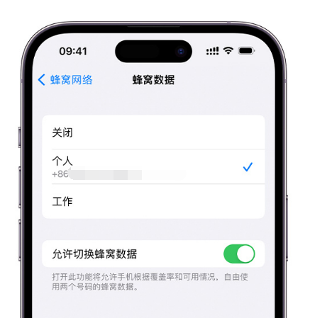 白马井镇苹果维修服务分享如何在iPhone上使用双卡 